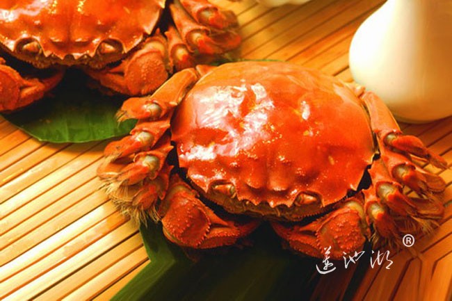阳澄湖大闸蟹
