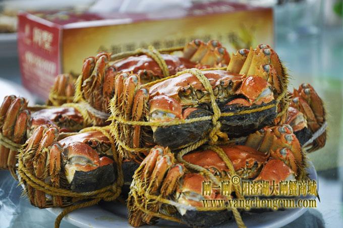 阳澄湖大闸蟹