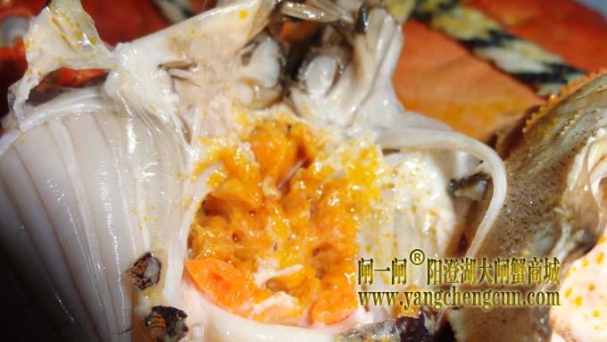 阳澄湖大闸蟹