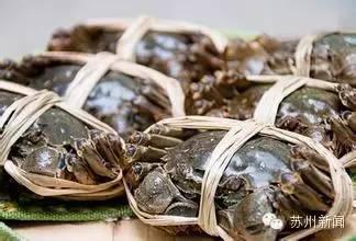 阳澄湖大闸蟹