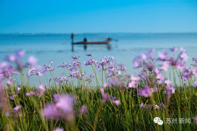 阳澄湖=大闸蟹？不，请叫我国家级旅游度假区
