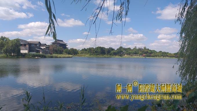 阳澄湖半岛莲池湖公园