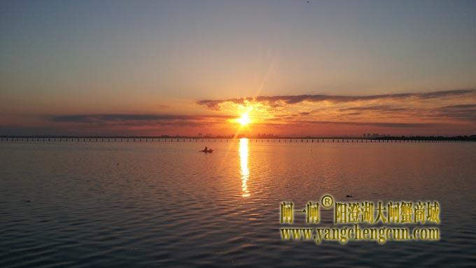 阳澄湖半岛看日出