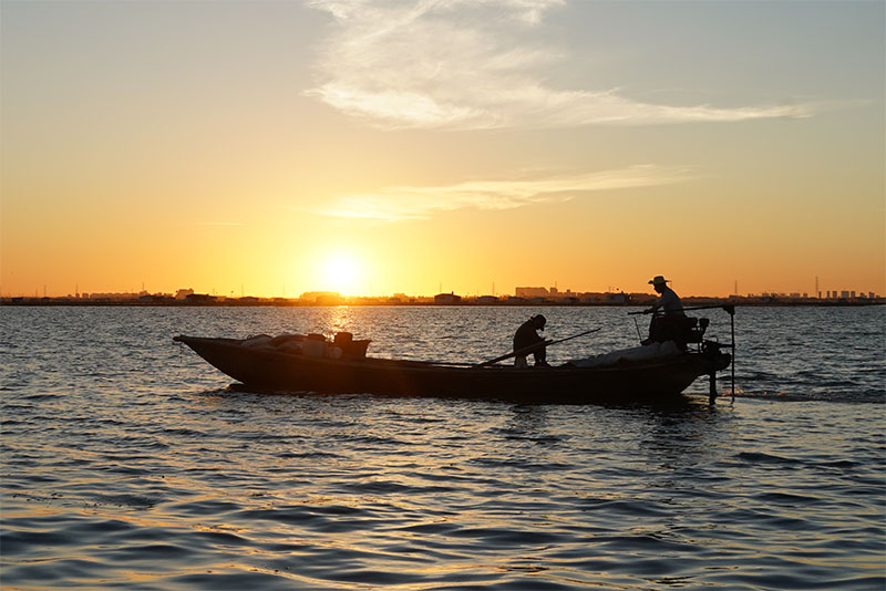 阳澄湖蟹农的早晨
