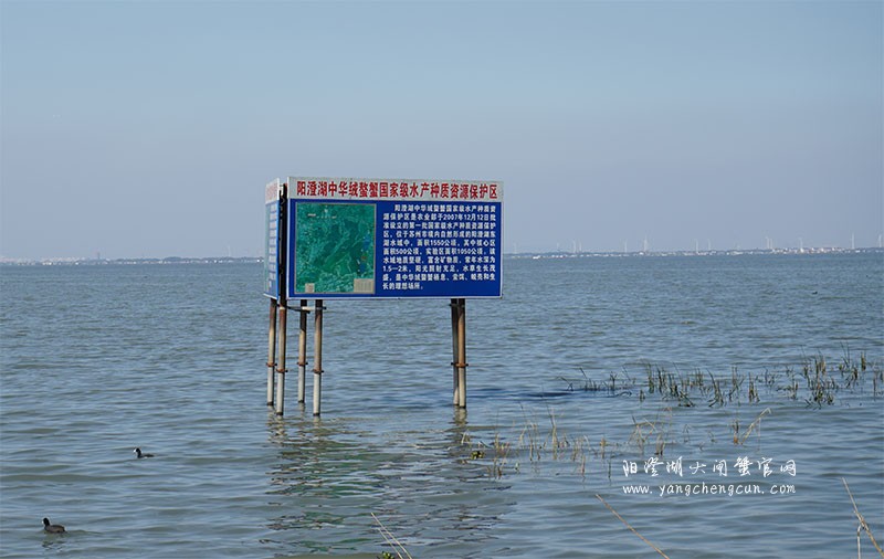 阳澄湖大闸蟹保护区