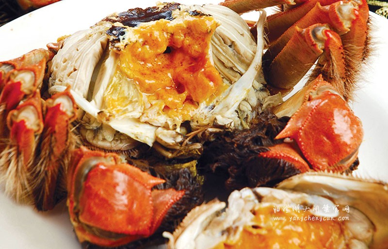 阳澄湖大闸蟹