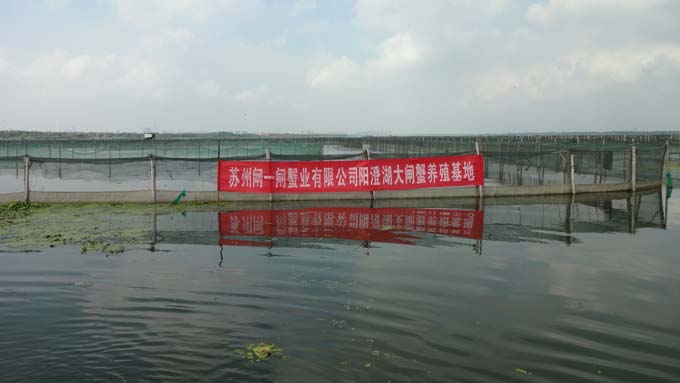苏州闸一闸蟹业有限公司-阳澄湖大闸蟹养殖基地