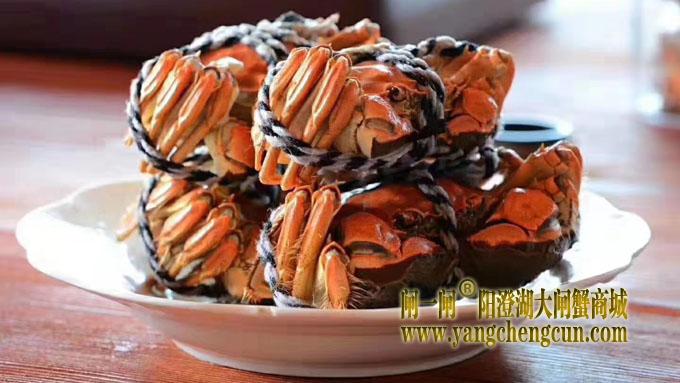 阳澄湖大闸蟹