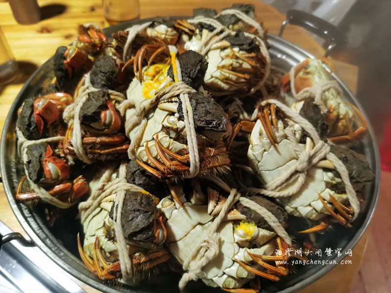 阳澄湖大闸蟹