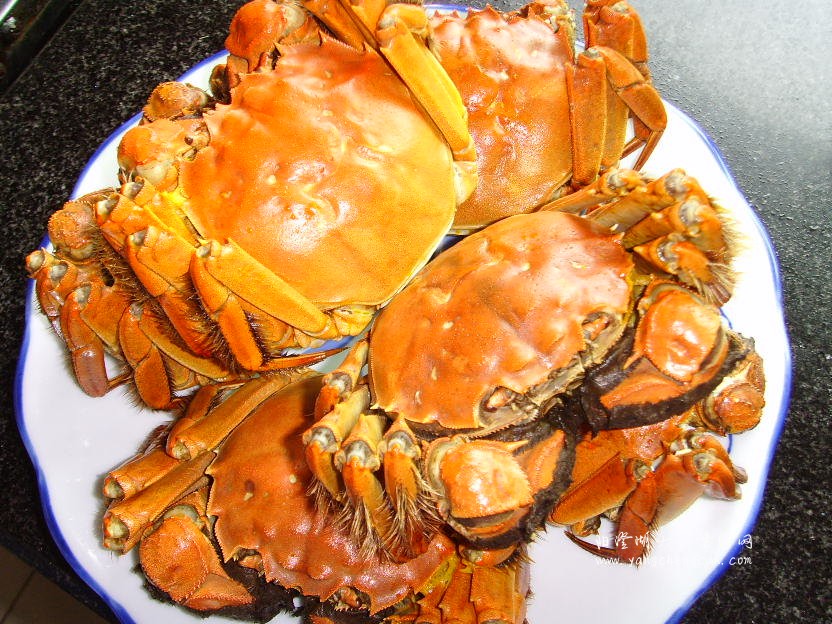 阳澄湖大闸蟹