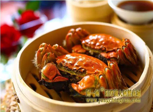 阳澄湖大闸蟹