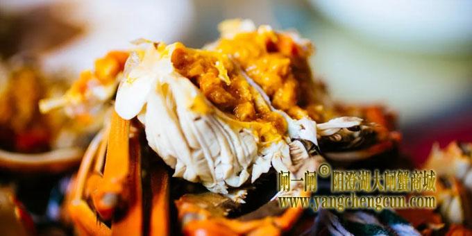 阳澄湖大闸蟹