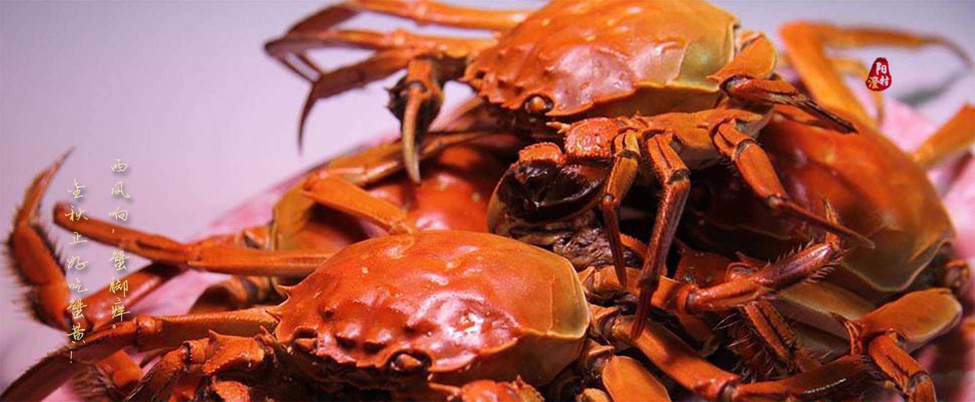 阳澄湖大闸蟹